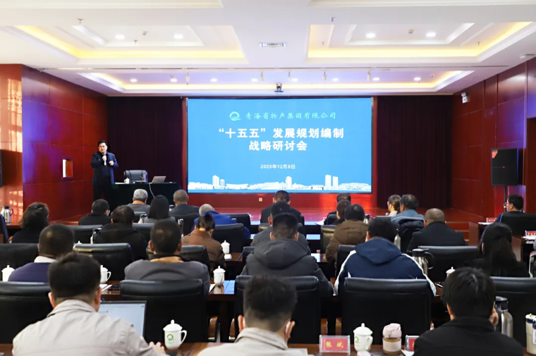 聚勢謀遠 破局立新&mdash;&mdash;集團召開&ldquo;十五五&rdquo;發(fā)展規(guī)劃編制戰(zhàn)略研討會