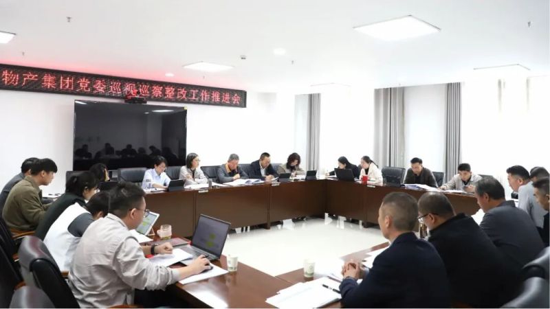 集團黨委召開巡視巡察整改工作推進會